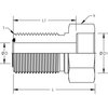 World Wide Fittings Male Flat Face O-Ring Bulkhead to Braze-On Bore Straight 4324X08X08